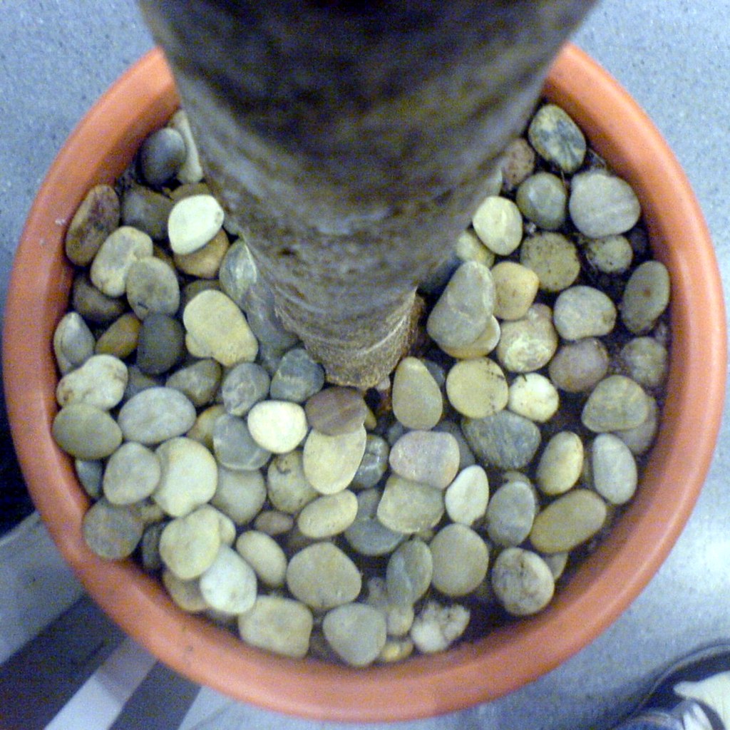 Ikea Tree