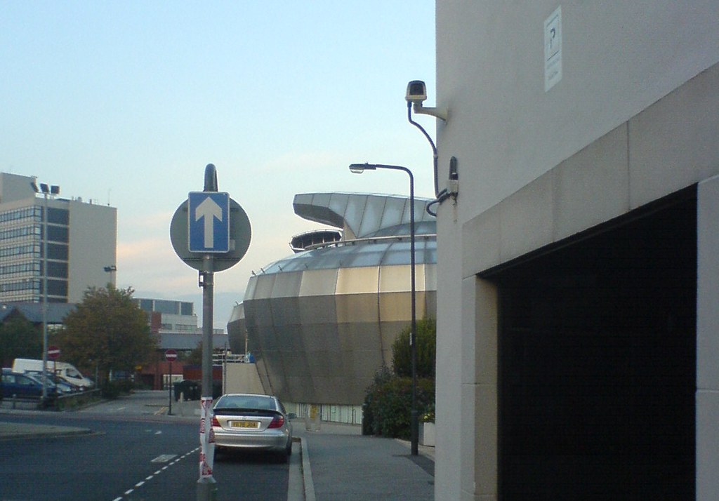 Rhino Rear
