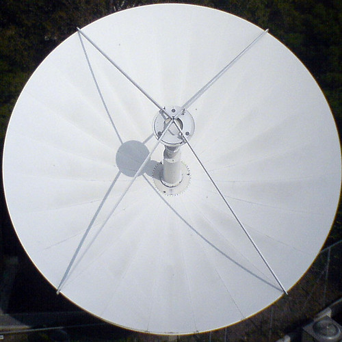 Dish