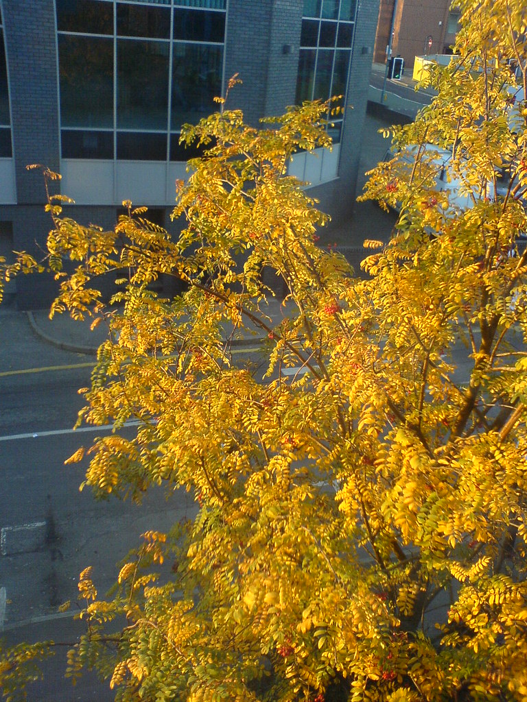 Autumn