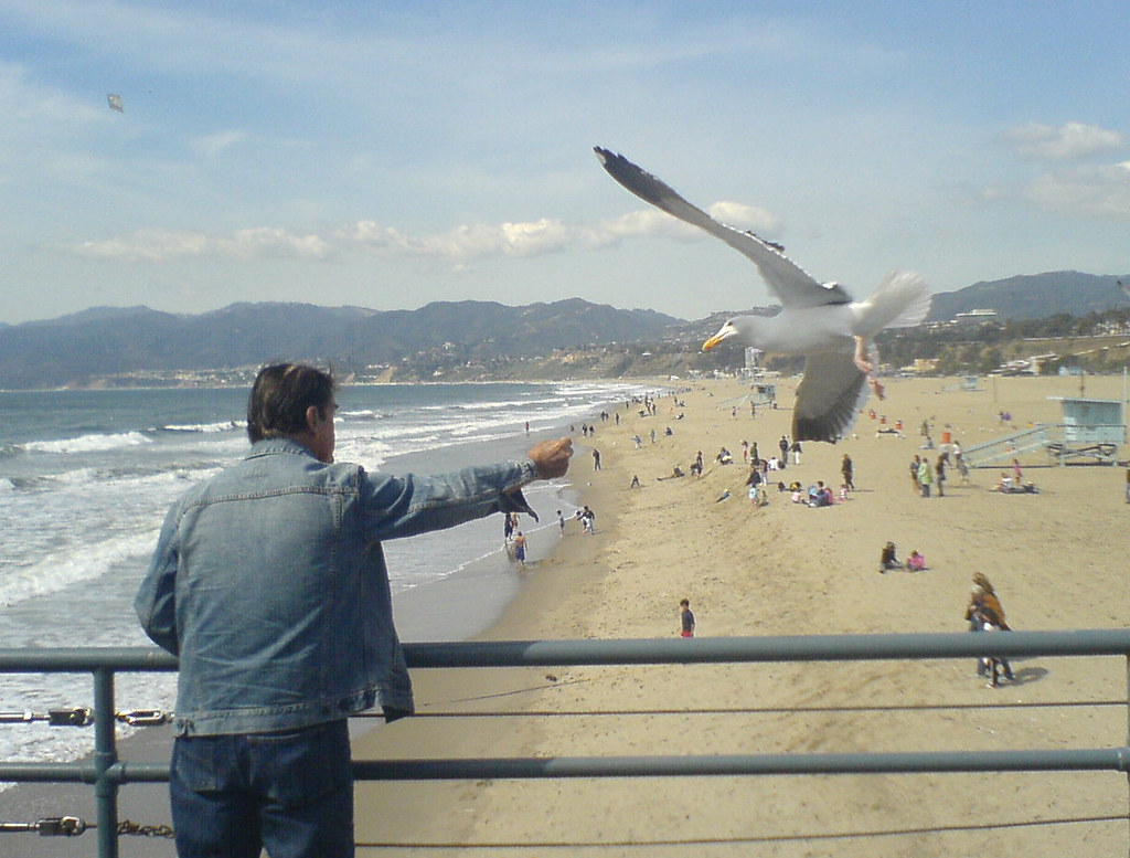 Bird Man