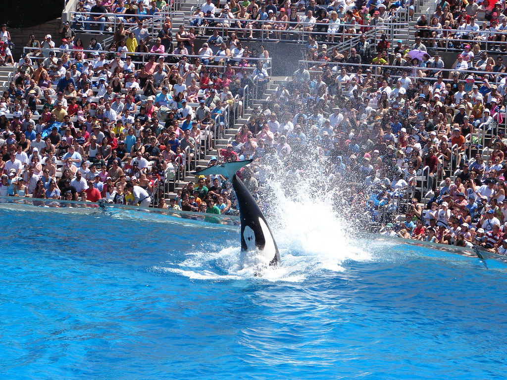 Splash!