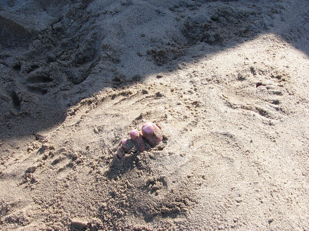 Shallow Grave