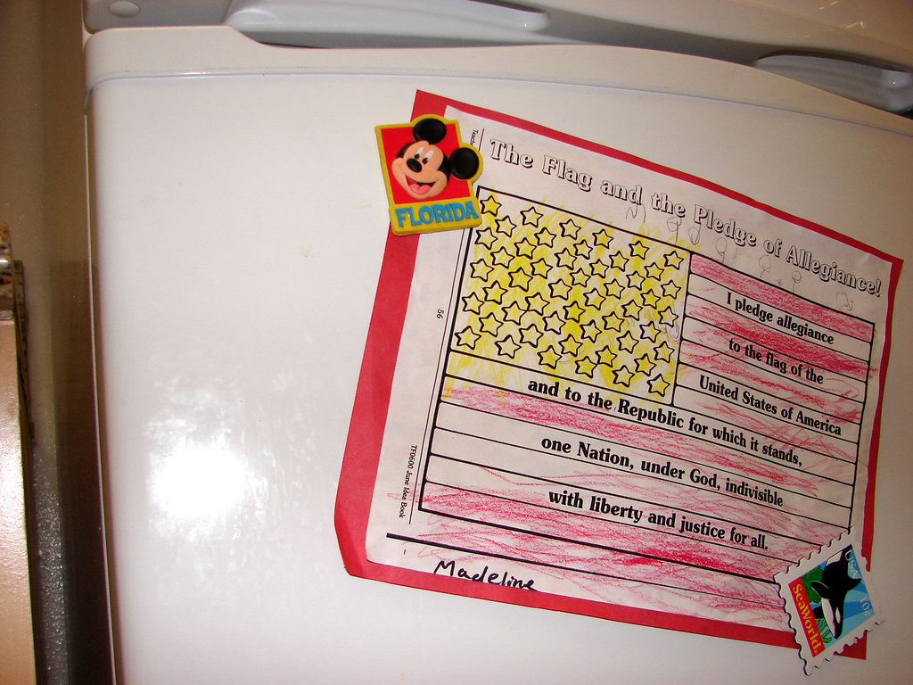 Patriotic Fridge