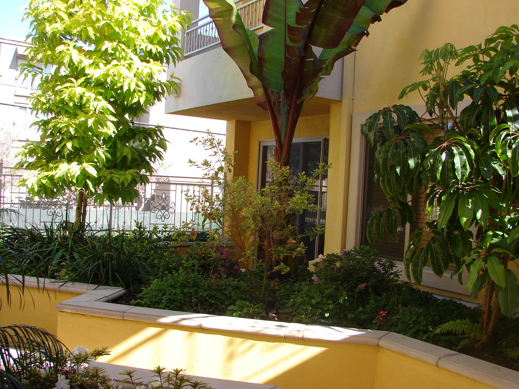 Our Balcony