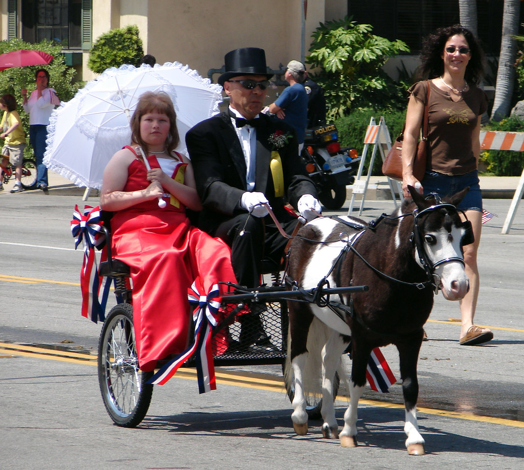 Burbank Society for the Exploitation of Small Horses