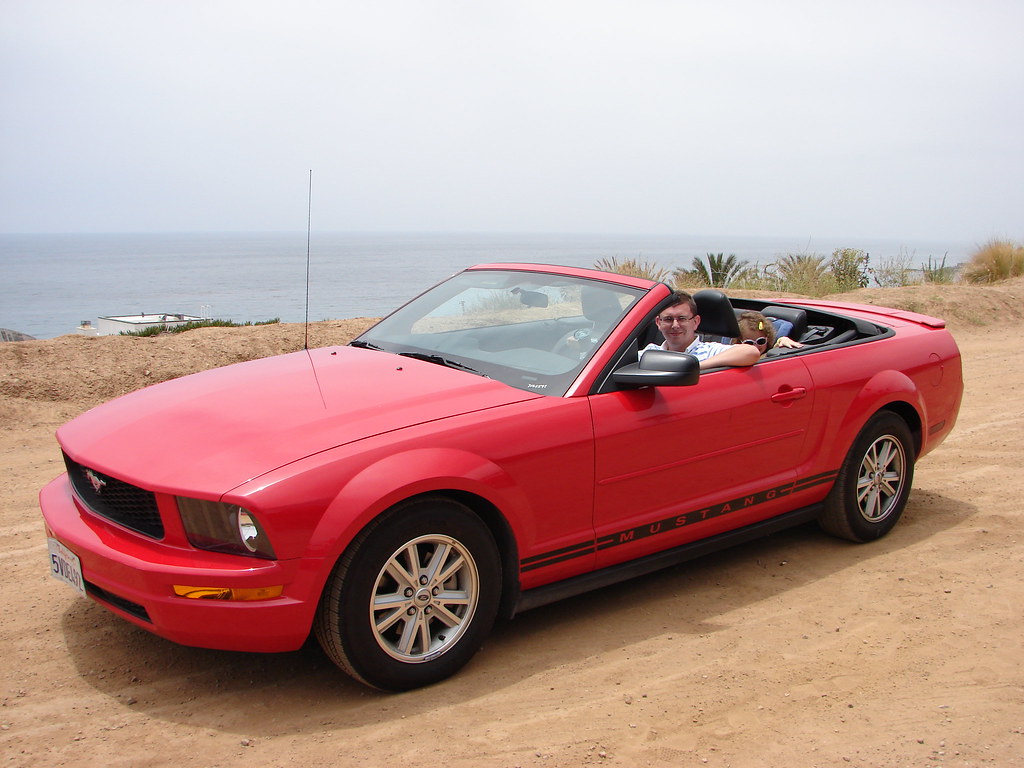 Birthday Cruise