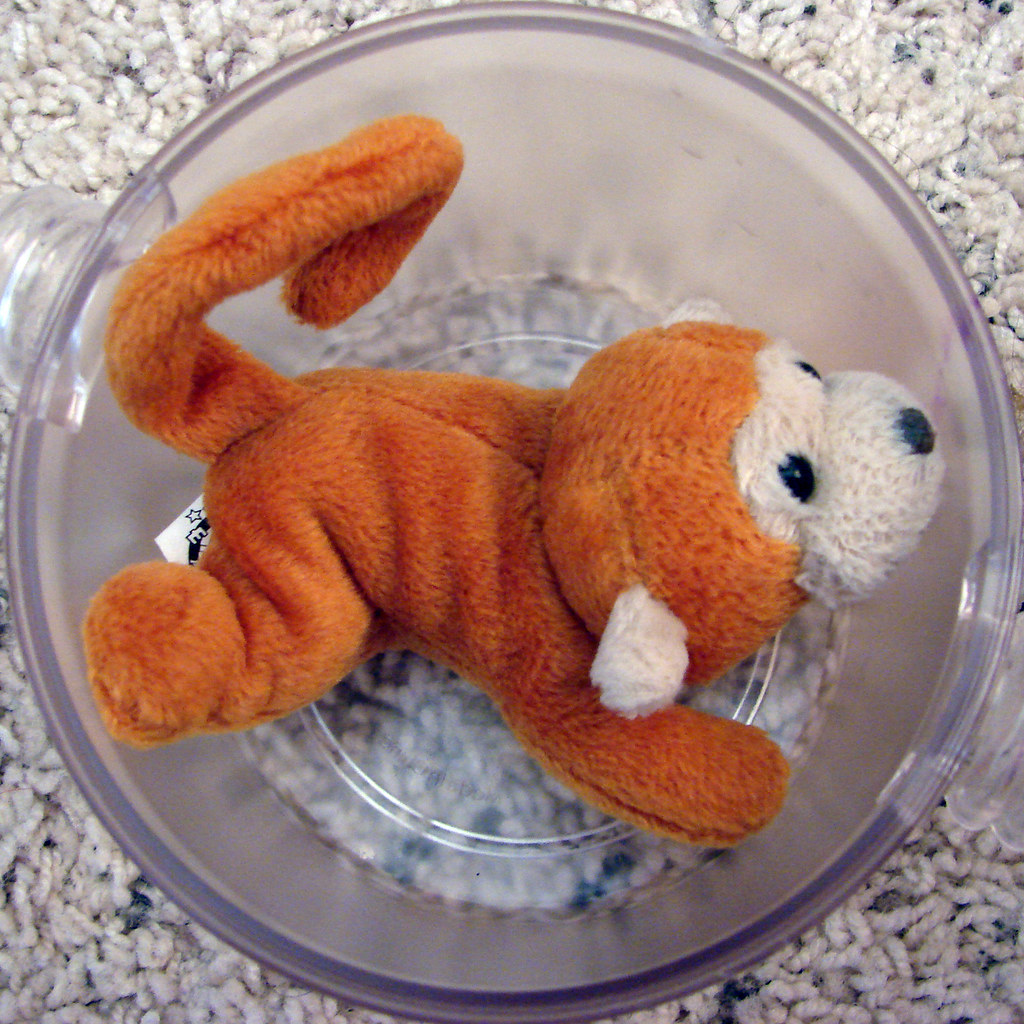 Monkey in Pan