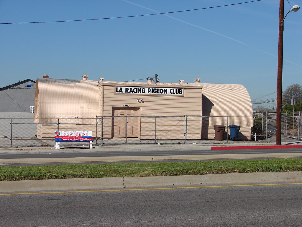 LA Racing Pigeon Club