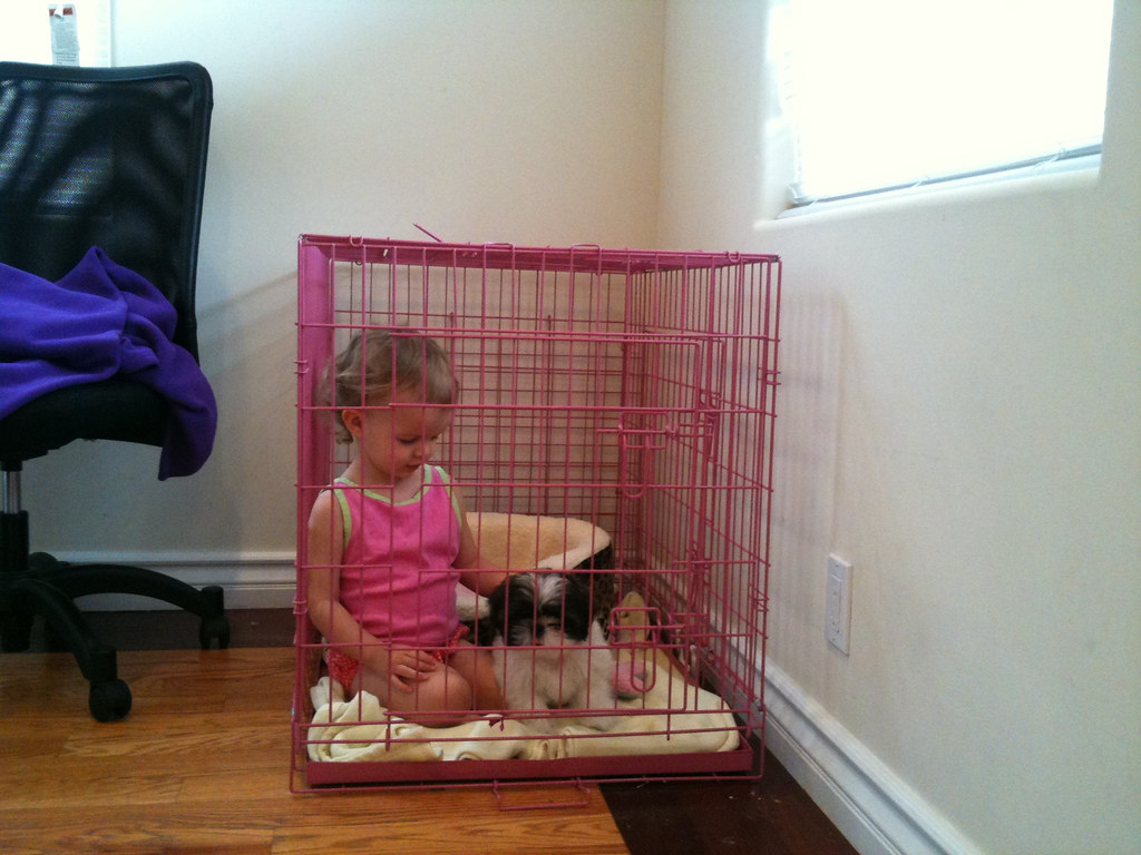 Crate