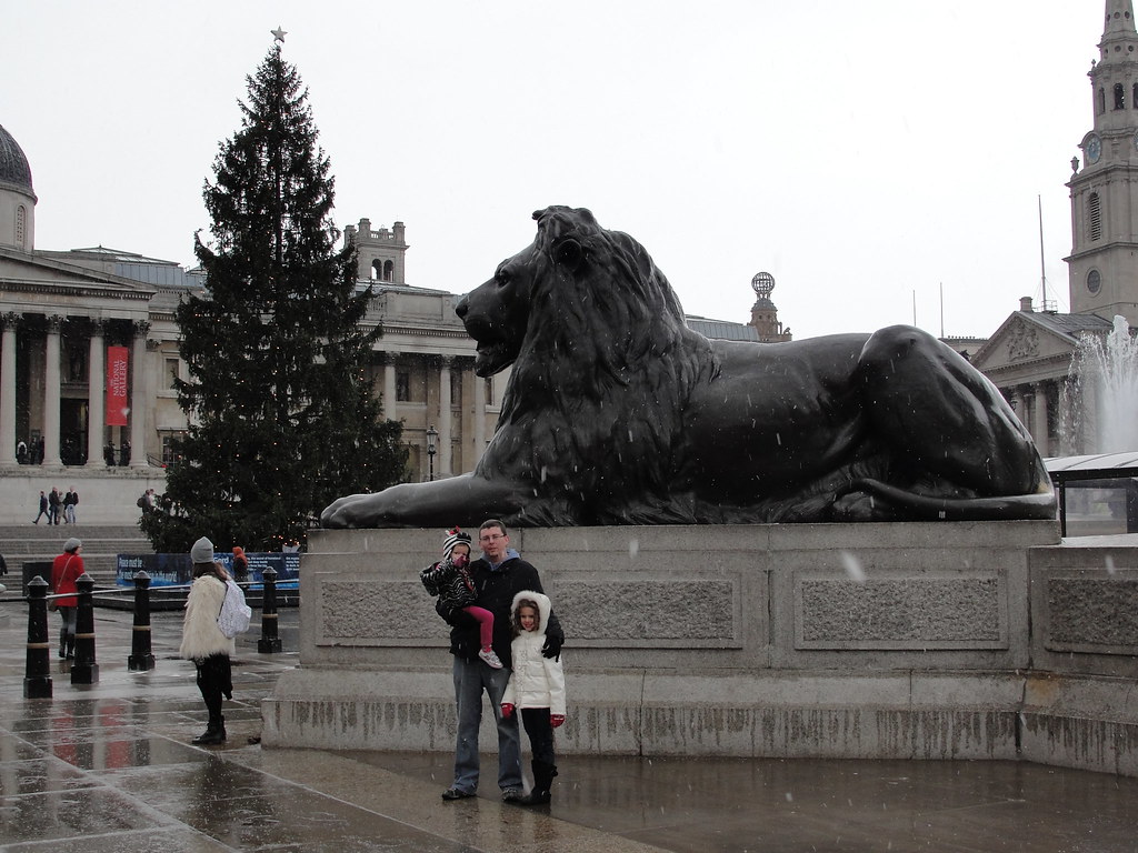Festive Lion