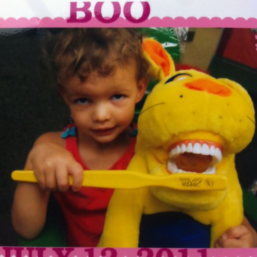 Boo and the scary Denture Dog