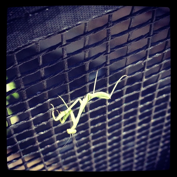 Alien attack.