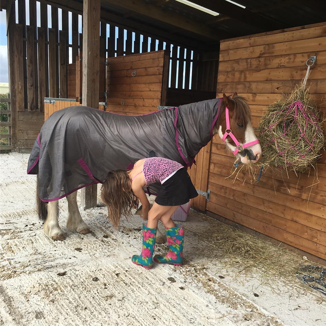 Classic grooming attire from Boo.
