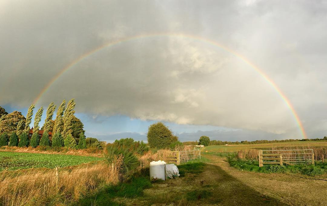 Not sure which pot of gold to head for.