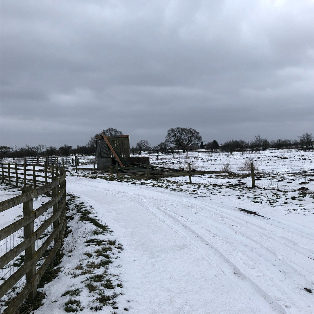 Didn’t want that field shelter anyway.