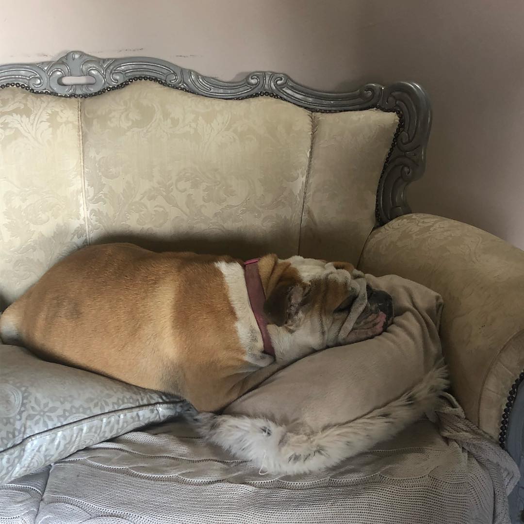 Lexie living her best life.