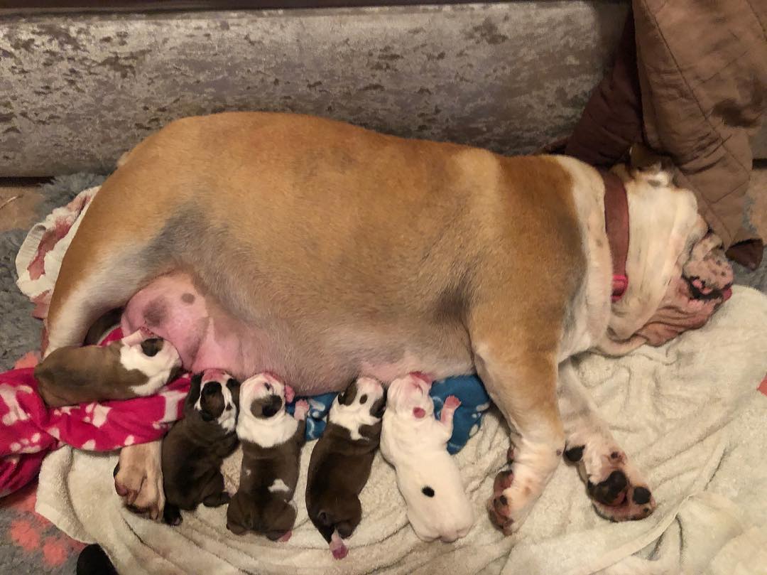 My baby has had babies.