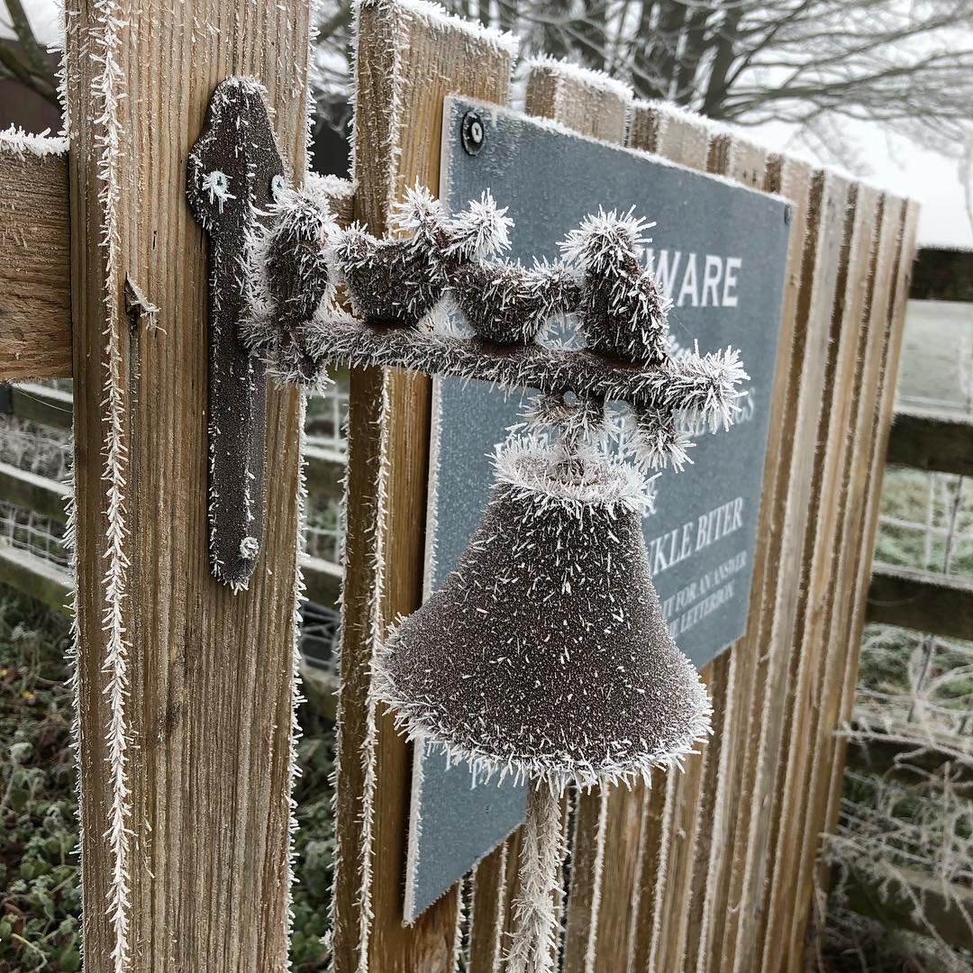 Pretty cold this morning.
