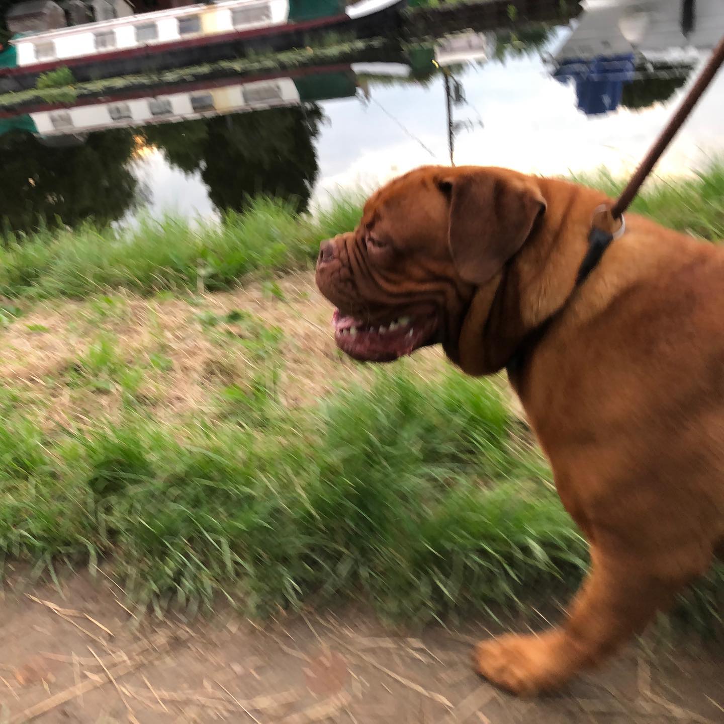 Canal stroll.
