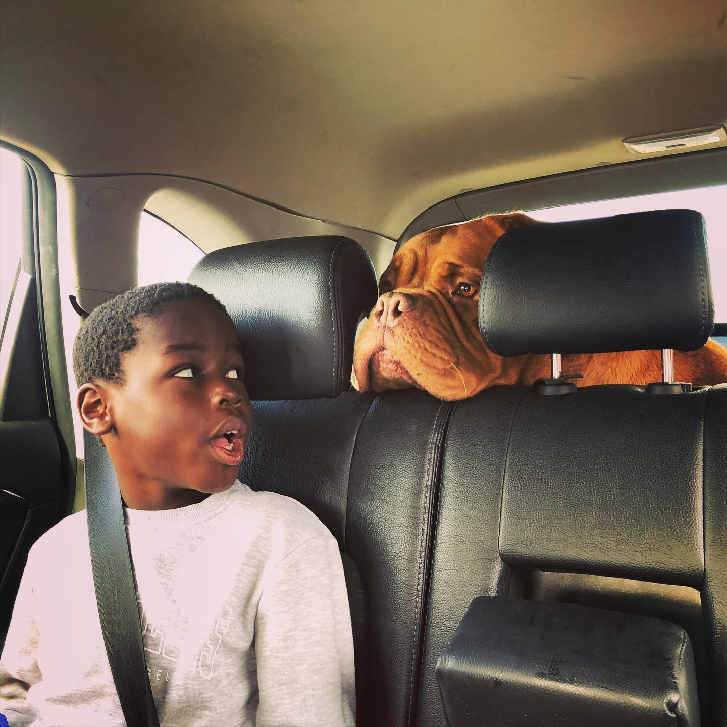 Road trip.